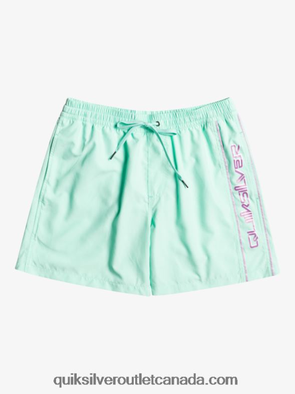 CA Quiksilver Men Everyday Vert 16 Volleys beach glass TX4R2702