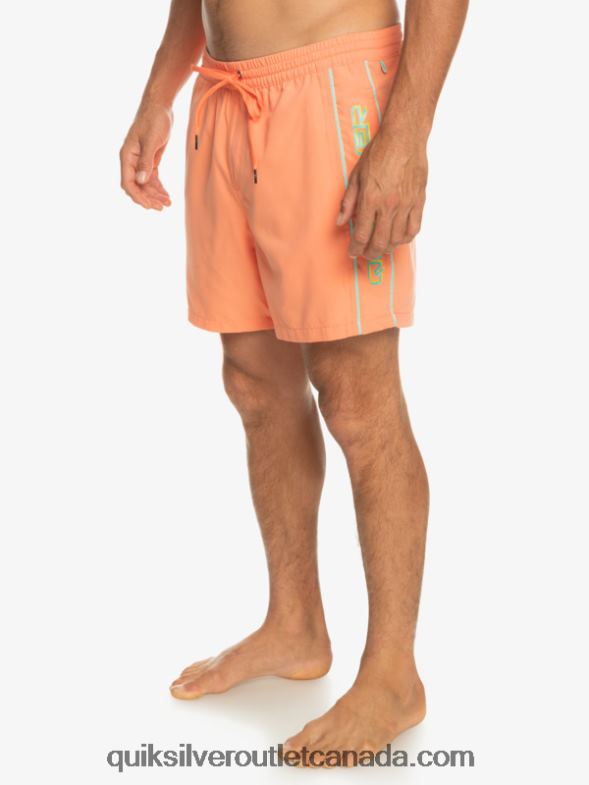CA Quiksilver Men Everyday Vert 16 Volleys fresh salmon TX4R2703