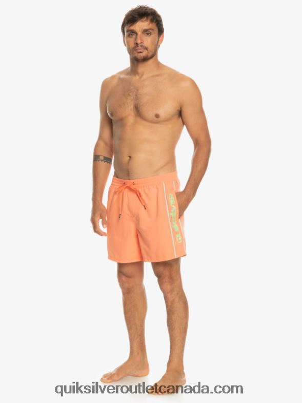 CA Quiksilver Men Everyday Vert 16 Volleys fresh salmon TX4R2703