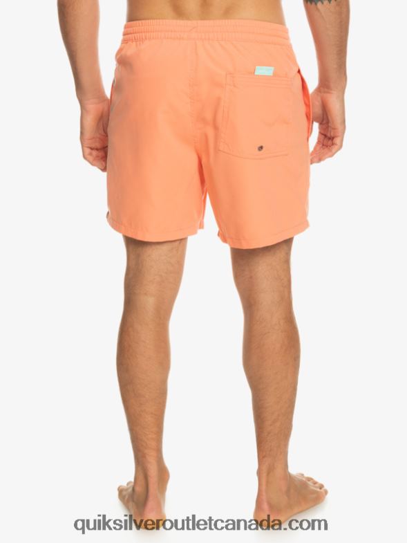 CA Quiksilver Men Everyday Vert 16 Volleys fresh salmon TX4R2703