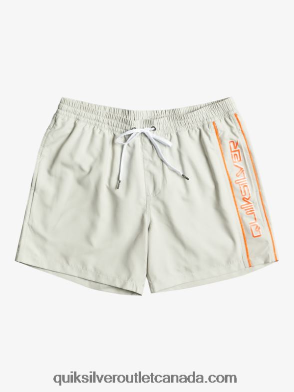 CA Quiksilver Men Everyday Vert 16 Volleys gray violet TX4R2700