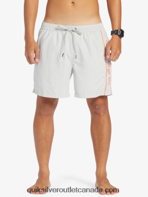 CA Quiksilver Men Everyday Vert 16 Volleys gray violet TX4R2700