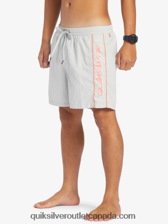 CA Quiksilver Men Everyday Vert 16 Volleys gray violet TX4R2700