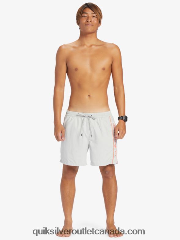 CA Quiksilver Men Everyday Vert 16 Volleys gray violet TX4R2700