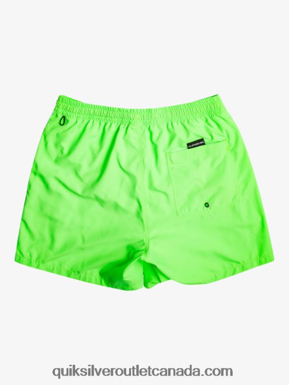 CA Quiksilver Men Everyday Vert 16 Volleys green gecko TX4R2696