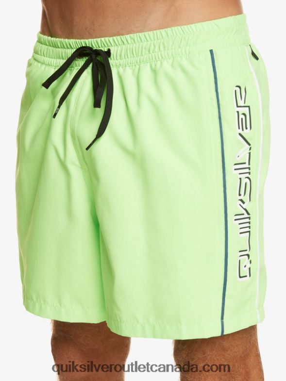 CA Quiksilver Men Everyday Vert 16 Volleys green gecko TX4R2696
