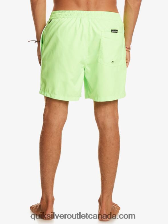 CA Quiksilver Men Everyday Vert 16 Volleys green gecko TX4R2696
