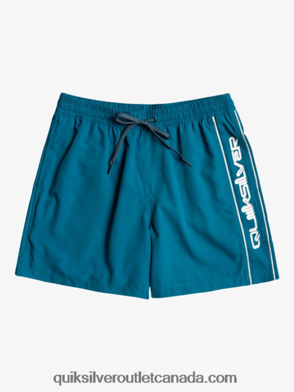 CA Quiksilver Men Everyday Vert 16 Volleys moroccan blue TX4R2701