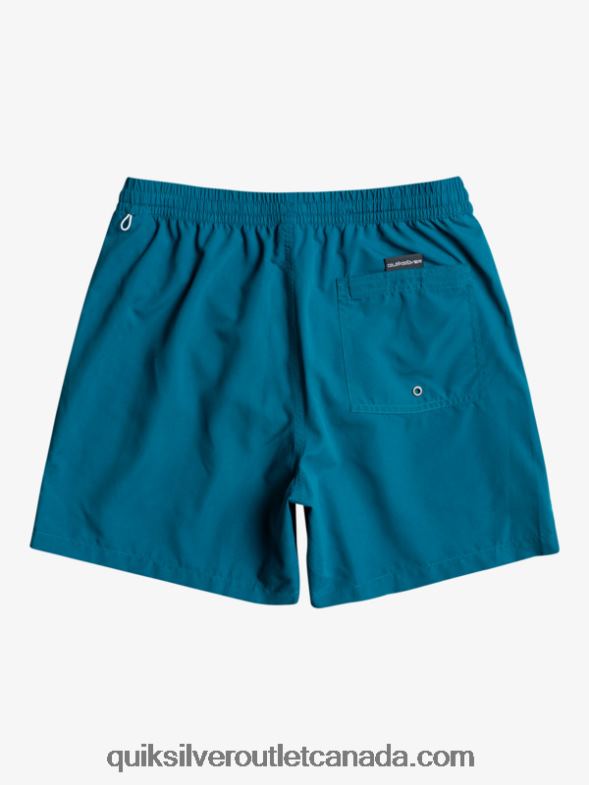 CA Quiksilver Men Everyday Vert 16 Volleys moroccan blue TX4R2701
