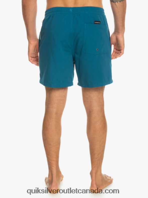CA Quiksilver Men Everyday Vert 16 Volleys moroccan blue TX4R2701