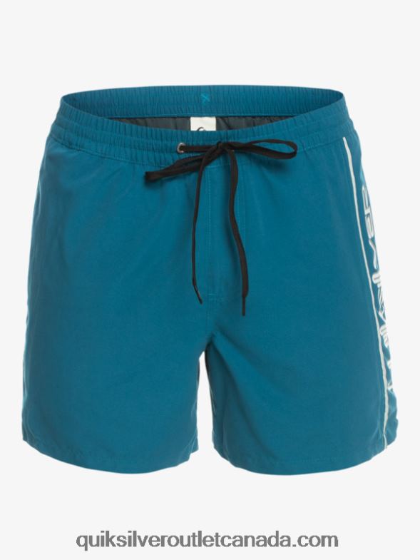 CA Quiksilver Men Everyday Vert 16 Volleys moroccan blue TX4R2701