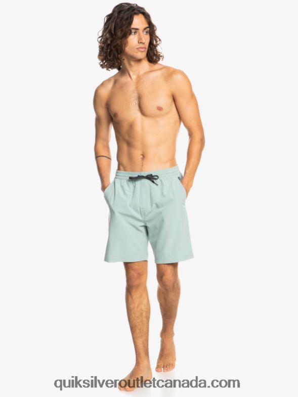 CA Quiksilver Men Ocean Elastic 18 Amphibian Shorts green milieu TX4R2352