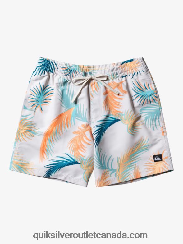 CA Quiksilver Men Re-Mix 17 Volleys birch TX4R2355