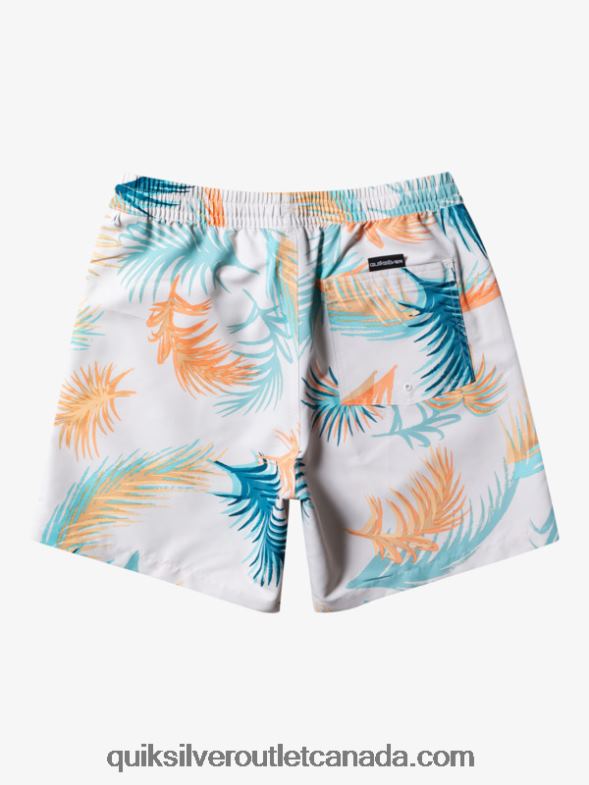 CA Quiksilver Men Re-Mix 17 Volleys birch TX4R2355