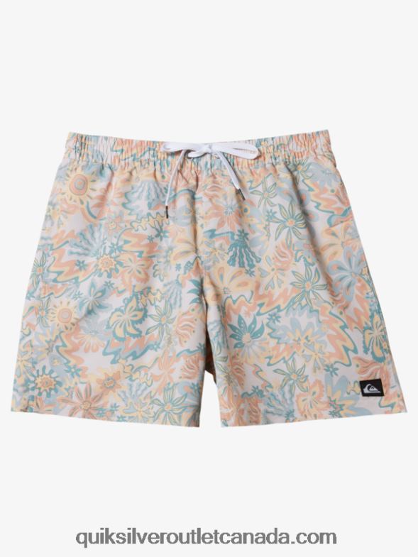CA Quiksilver Men Re-Mix 17 Volleys birch TX4R2357