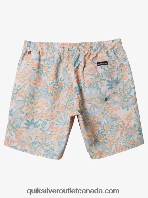 CA Quiksilver Men Re-Mix 17 Volleys birch TX4R2357