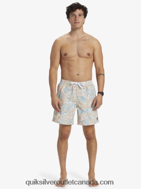 CA Quiksilver Men Re-Mix 17 Volleys birch TX4R2357