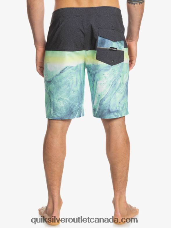 CA Quiksilver Men SurfSilk Panel 20 Boardshorts green ash TX4R21451