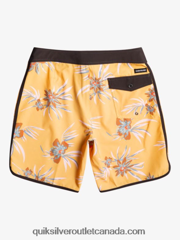 CA Quiksilver Men SurfSilk Scallop 19 Boardshorts ochre TX4R21491