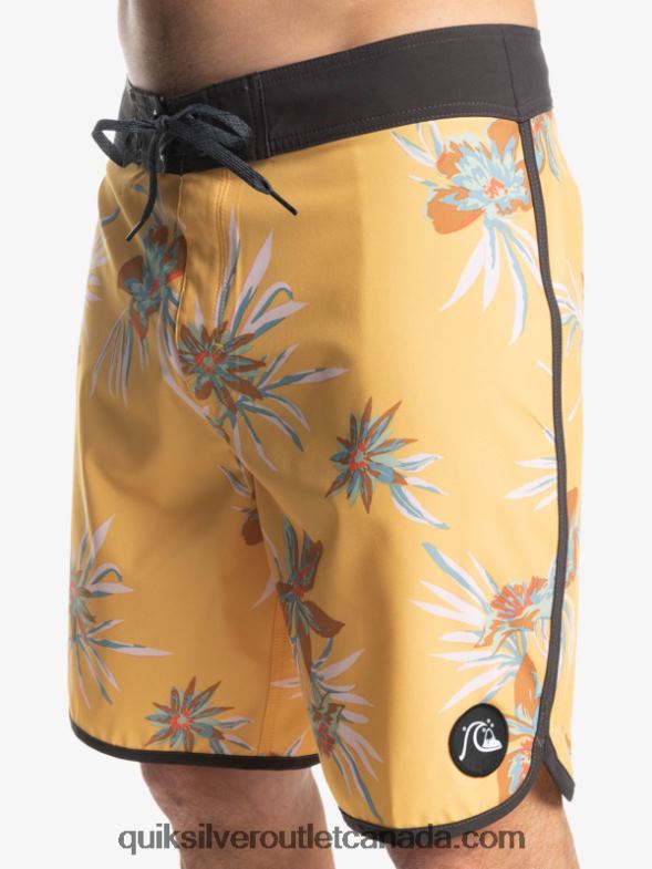 CA Quiksilver Men SurfSilk Scallop 19 Boardshorts ochre TX4R21491