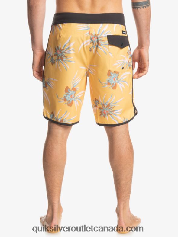 CA Quiksilver Men SurfSilk Scallop 19 Boardshorts ochre TX4R21491