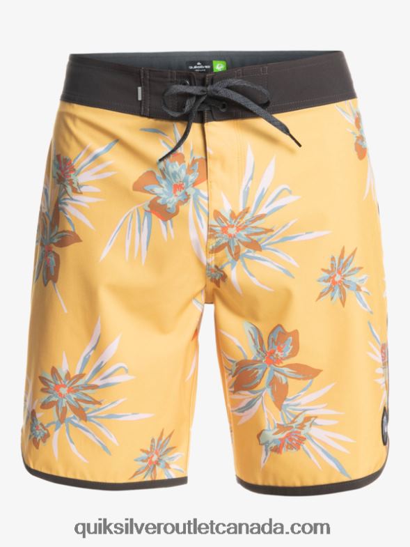 CA Quiksilver Men SurfSilk Scallop 19 Boardshorts ochre TX4R21491