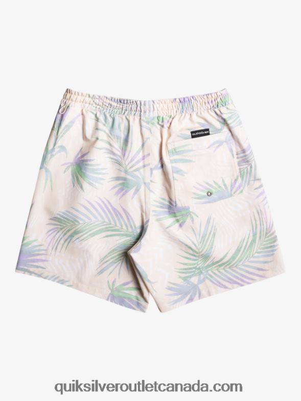 CA Quiksilver Men Surfsilk Mix 17 Volleys birch TX4R2635