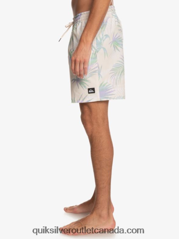 CA Quiksilver Men Surfsilk Mix 17 Volleys birch TX4R2635