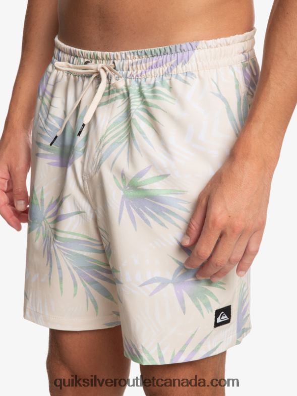 CA Quiksilver Men Surfsilk Mix 17 Volleys birch TX4R2635