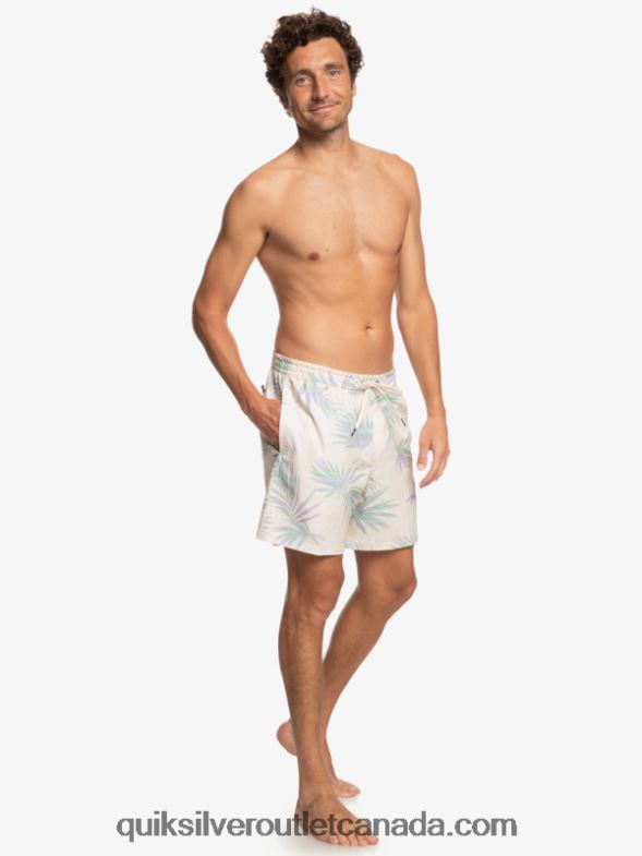 CA Quiksilver Men Surfsilk Mix 17 Volleys birch TX4R2635