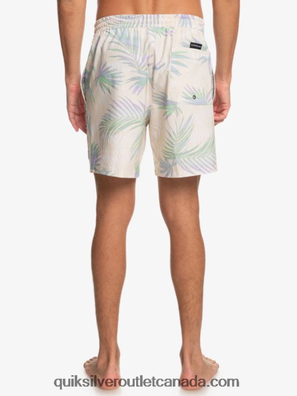 CA Quiksilver Men Surfsilk Mix 17 Volleys birch TX4R2635