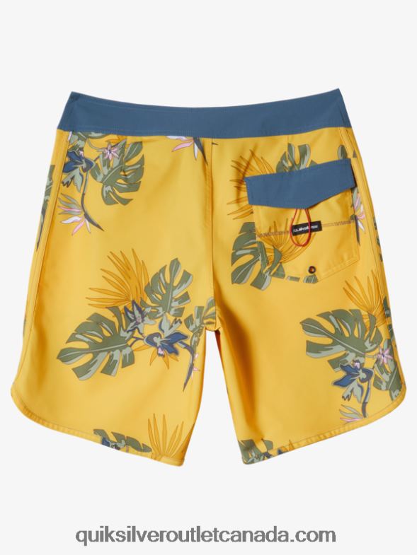 CA Quiksilver Men Surfsilk Scallop 19 Boardshorts yolk TX4R2214