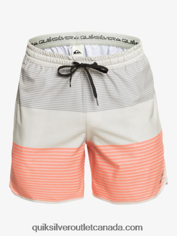 CA Quiksilver Men Surfsilk Tijuana 17 Volleys grey violet TX4R2513