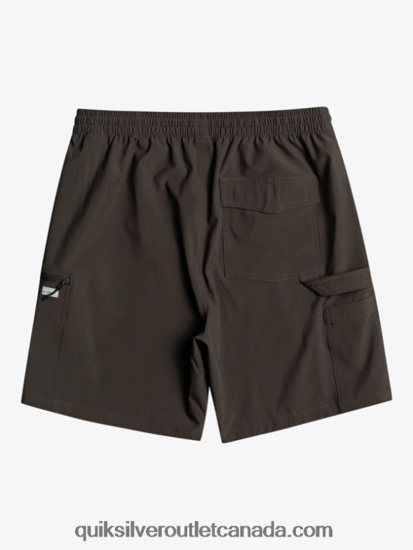 CA Quiksilver Men Taxer Cargo 18 Amphibian Boardshorts tarmac TX4R2251