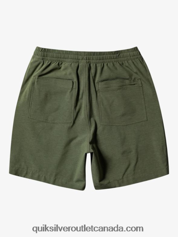 CA Quiksilver Men Taxer Heather 18 Amphibian Boardshorts four leaf clover TX4R2303
