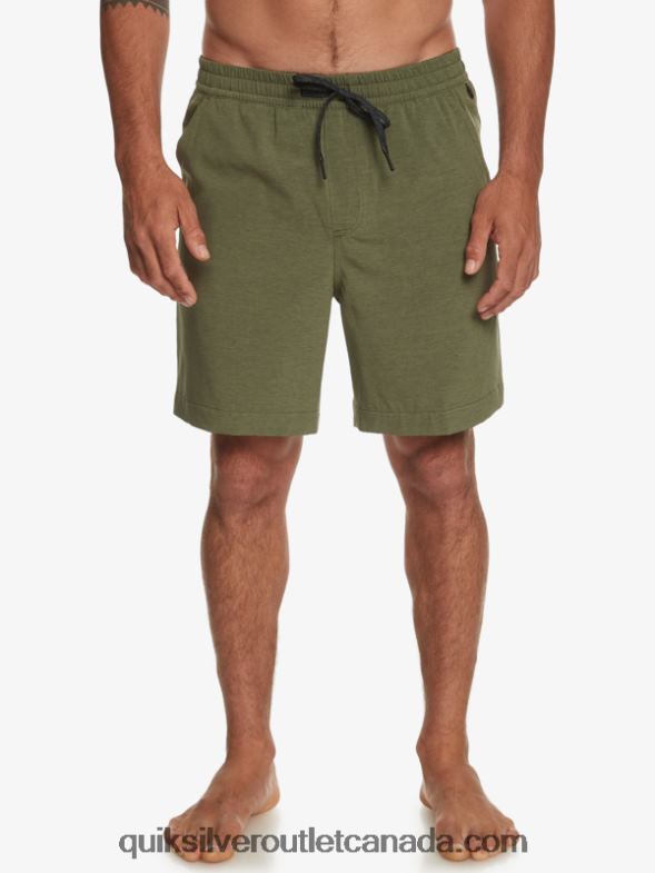 CA Quiksilver Men Taxer Heather 18 Amphibian Boardshorts four leaf clover TX4R2303