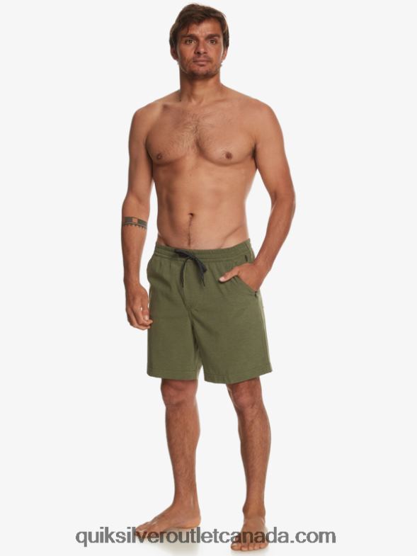 CA Quiksilver Men Taxer Heather 18 Amphibian Boardshorts four leaf clover TX4R2303