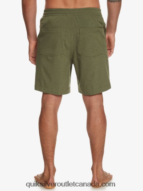 CA Quiksilver Men Taxer Heather 18 Amphibian Boardshorts four leaf clover TX4R2303