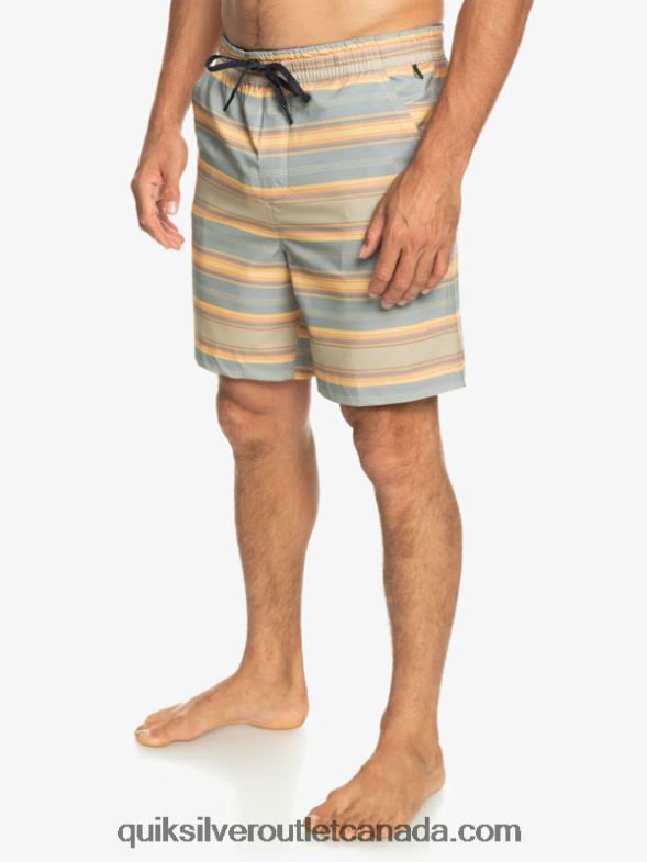 CA Quiksilver Men Taxer Print 18 Amphibian Boardshorts plaza taupe surf days stripe TX4R2104