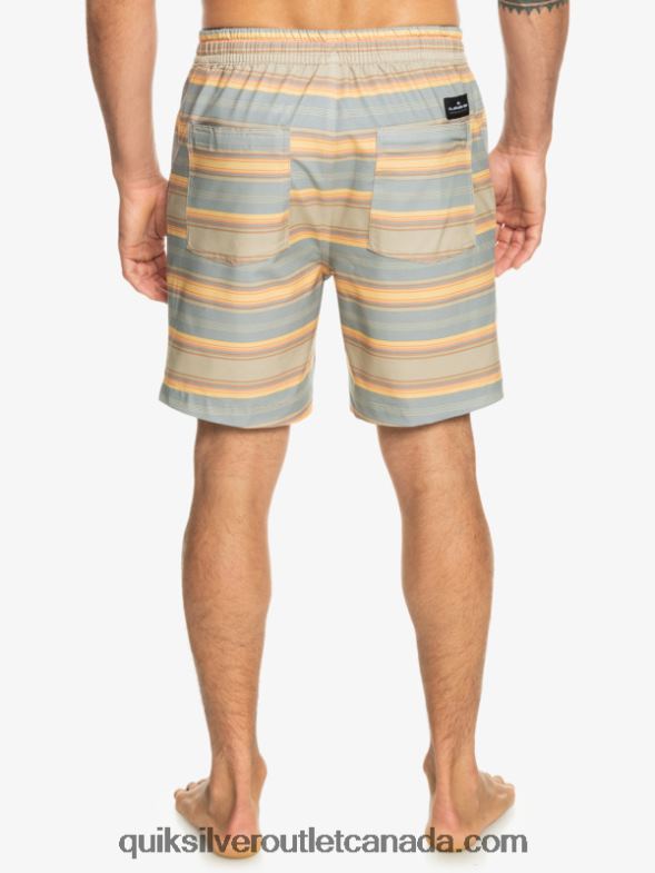 CA Quiksilver Men Taxer Print 18 Amphibian Boardshorts plaza taupe surf days stripe TX4R2104