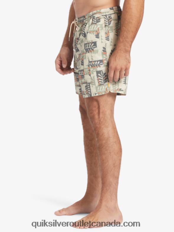 CA Quiksilver Men Waterman Canoes Reef 17 Volleys brown rice canoe TX4R2546