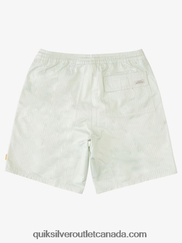 CA Quiksilver Men Waterman Deck Stripe 19 Volleys subtle green deck stripe TX4R21843