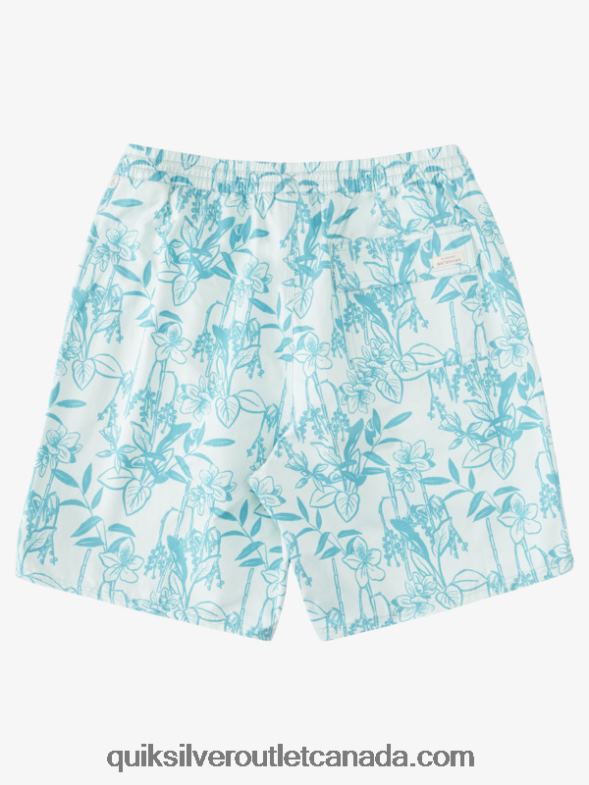 CA Quiksilver Men Waterman Loose Ways 17 Volleys subtle green looseways vy TX4R2939