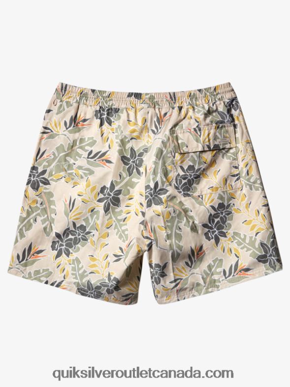 CA Quiksilver Men Waterman Perfect Feel 17 Volleys brown rice perfect feel TX4R2408