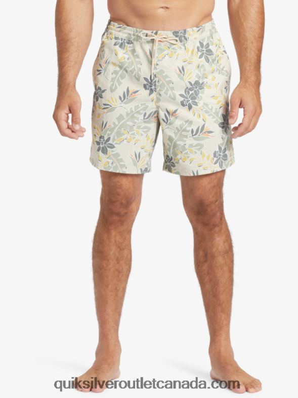 CA Quiksilver Men Waterman Perfect Feel 17 Volleys brown rice perfect feel TX4R2408
