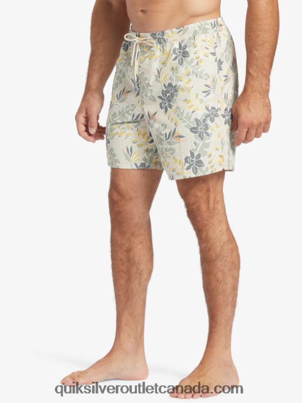 CA Quiksilver Men Waterman Perfect Feel 17 Volleys brown rice perfect feel TX4R2408