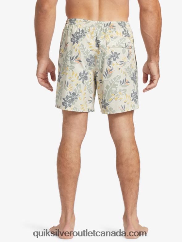 CA Quiksilver Men Waterman Perfect Feel 17 Volleys brown rice perfect feel TX4R2408