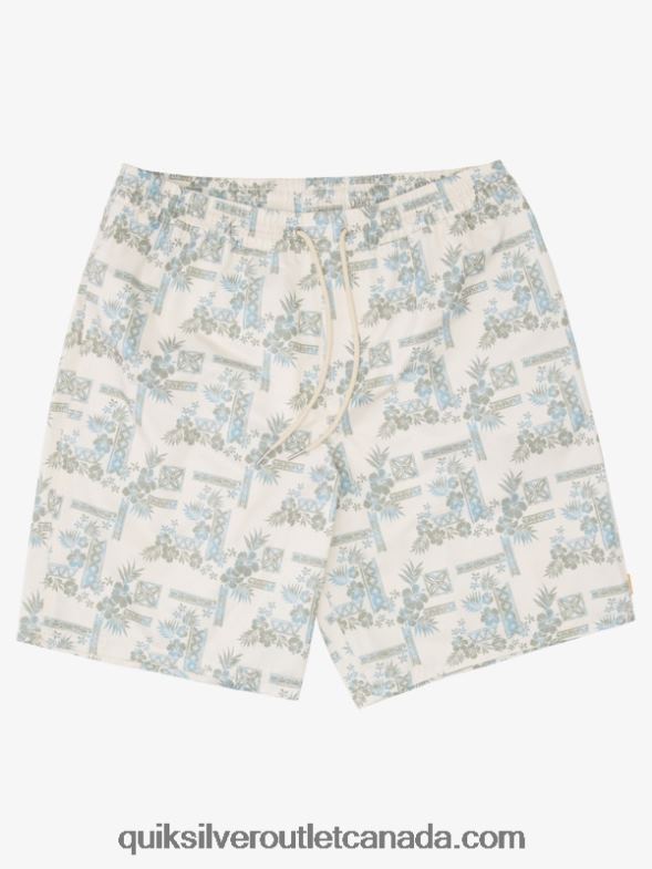 CA Quiksilver Men Waterman Stone Steps 19 Volley tea stonesteps vol TX4R21367
