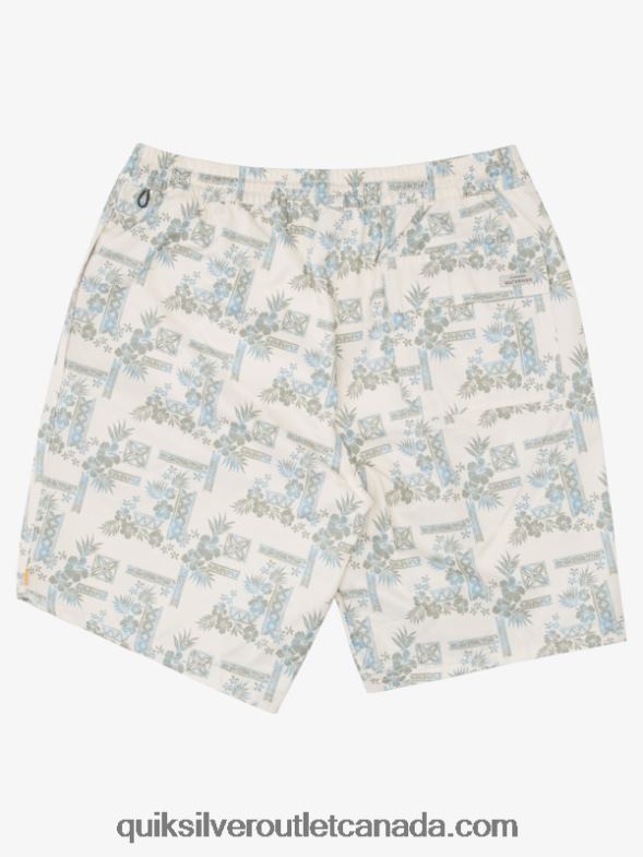 CA Quiksilver Men Waterman Stone Steps 19 Volley tea stonesteps vol TX4R21367