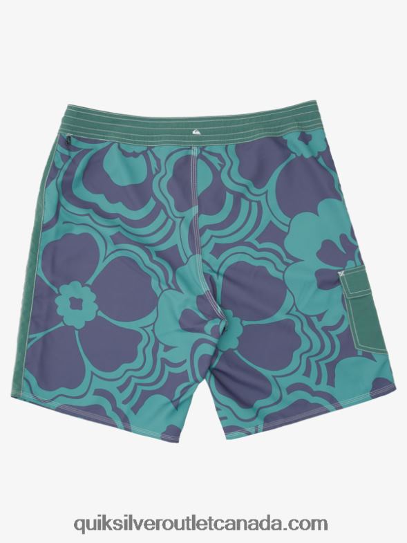 CA Quiksilver Men Waterman Throwback Print 19 Boardshorts smoke pine throwback TX4R21437